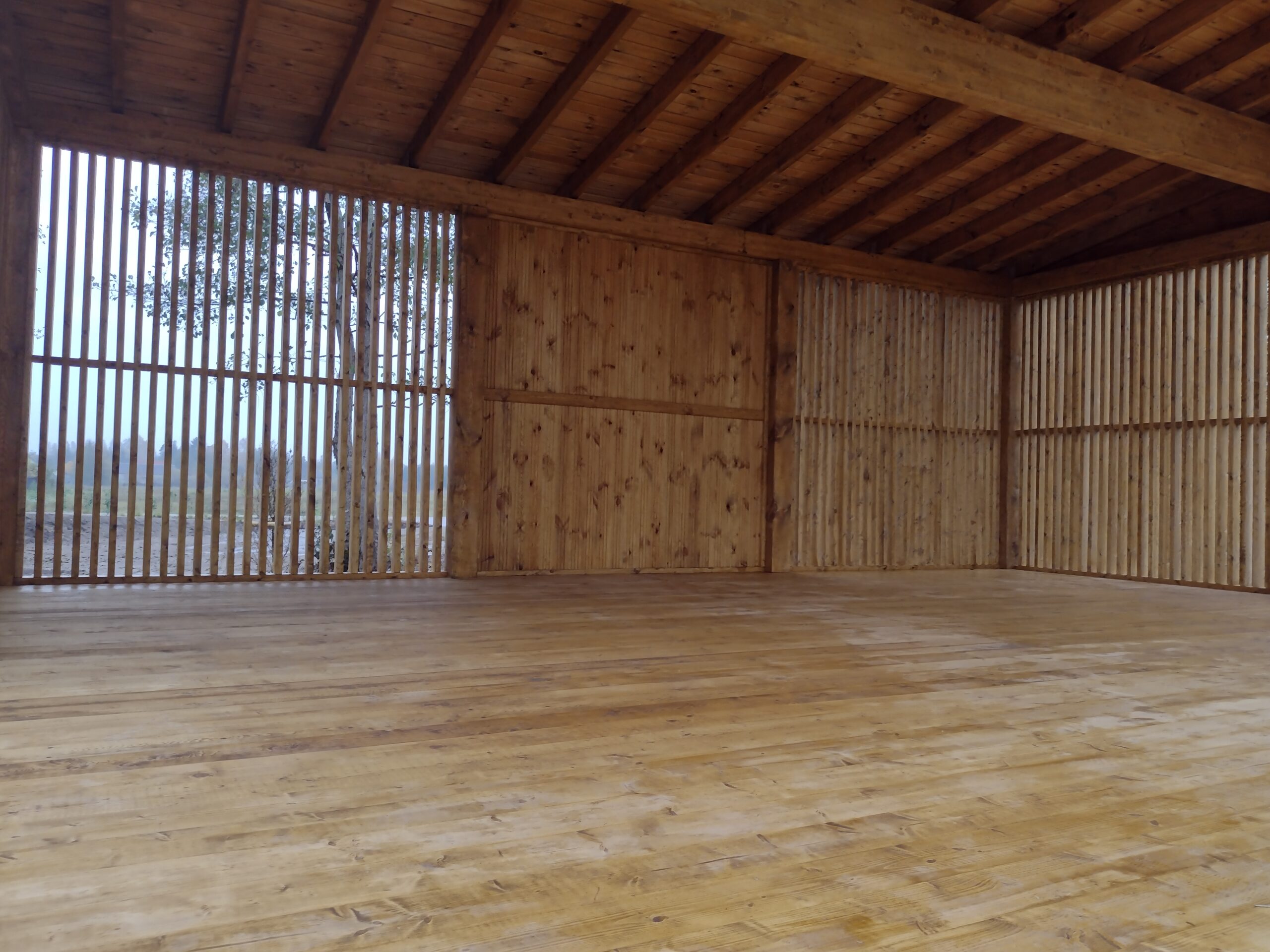 IMG_20231026_143317283