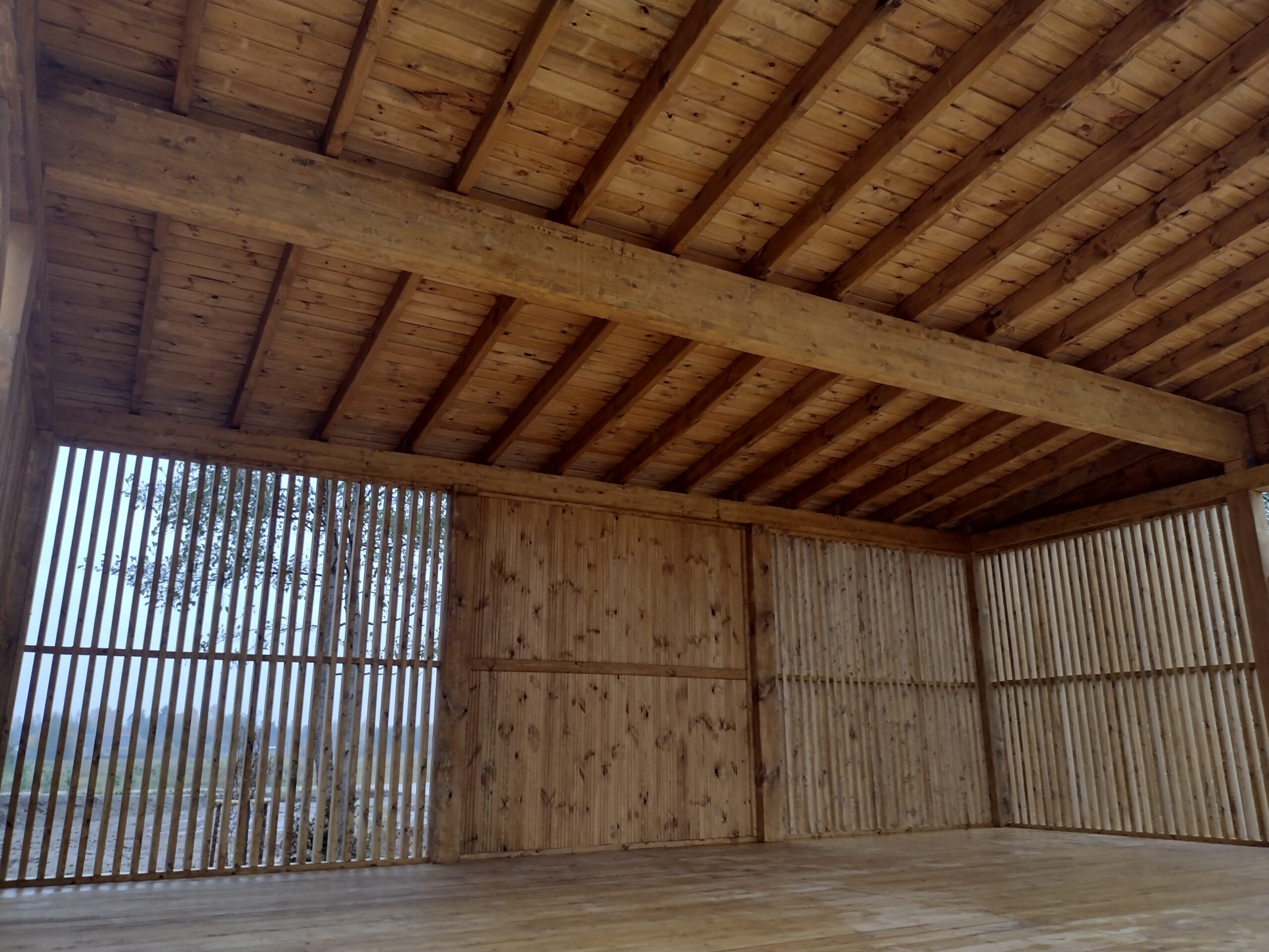 IMG_20231026_143321448_HDR