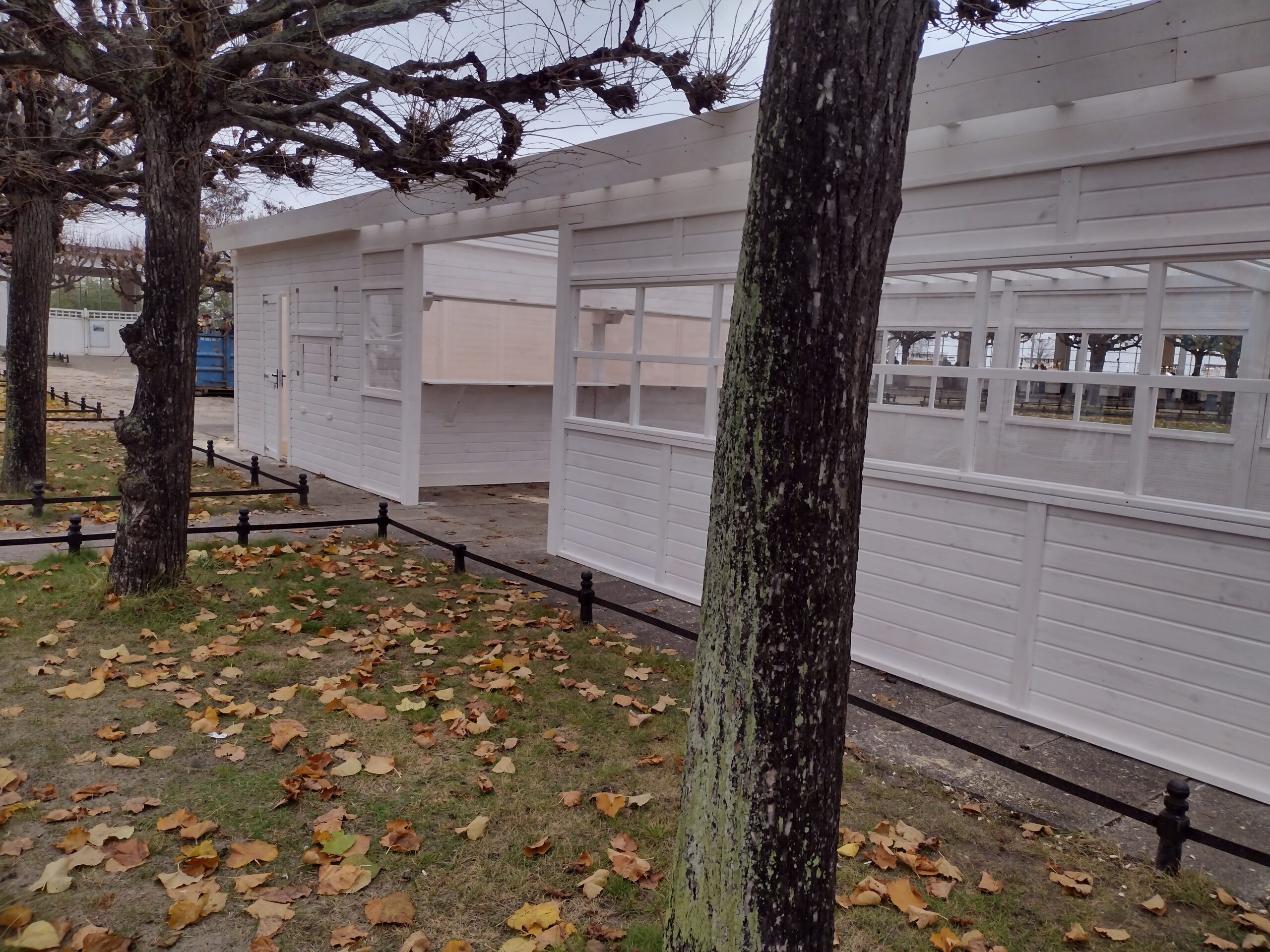 IMG_20231119_122344034_HDR