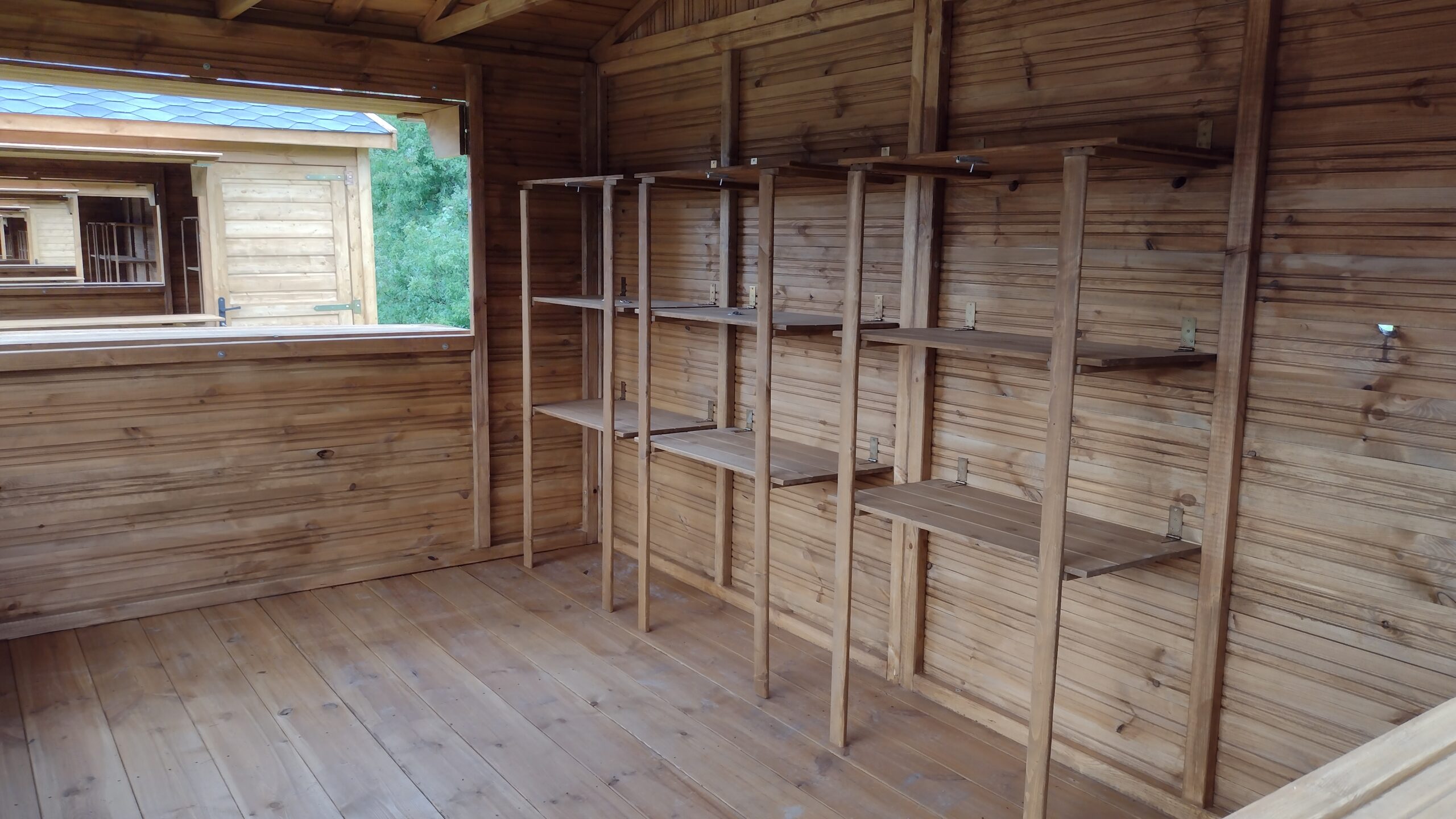 IMG_20240928_124857369